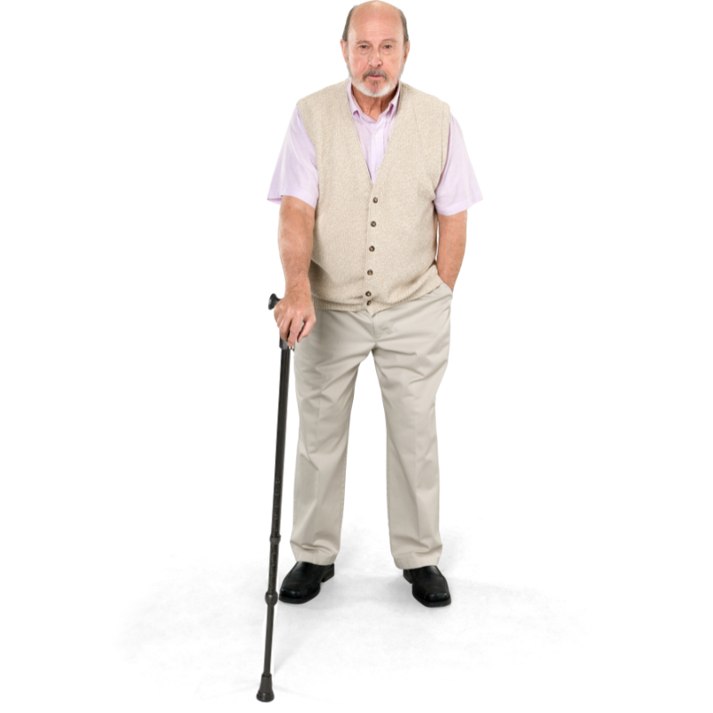 Walking Sticks