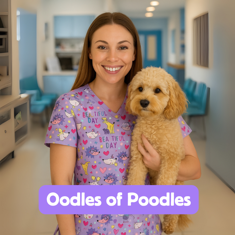 Scrub Top – Oodles of Poodles